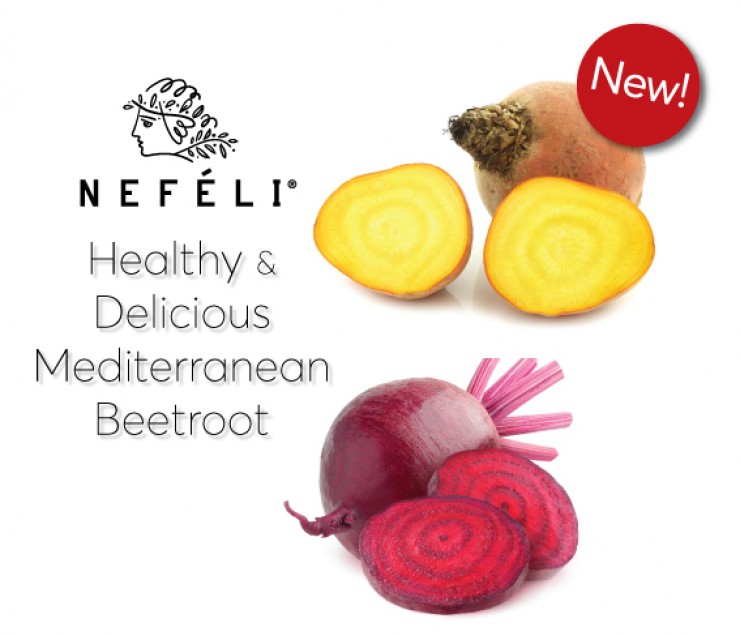 New!!! Healthy & delicious Mediterranean red and yellow Beetroots are the new addition on our assortment